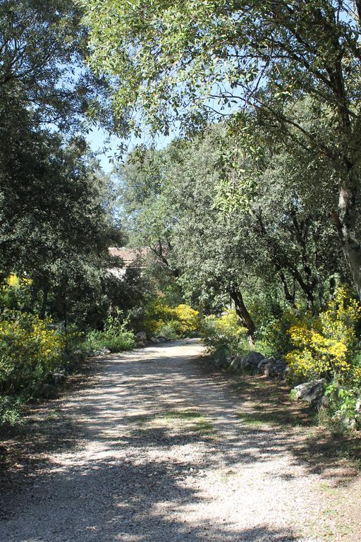 A L'Est D'Uzes Villa Saint-Siffret Eksteriør billede