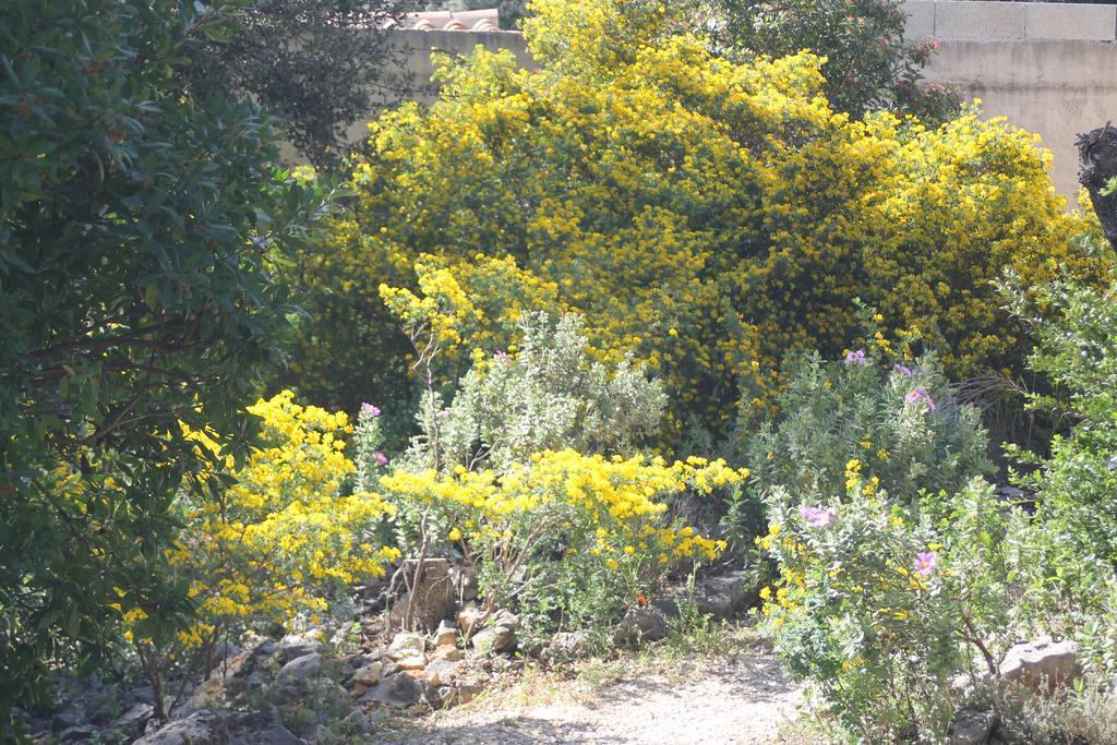 A L'Est D'Uzes Villa Saint-Siffret Eksteriør billede
