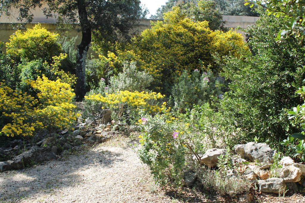 A L'Est D'Uzes Villa Saint-Siffret Eksteriør billede